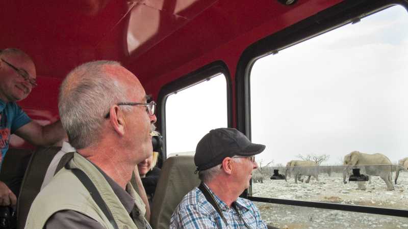 Wildlife viewing in Etosha | Patrick Fonseca
