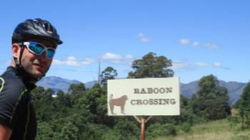 Baboon Crossing whilst cycling in South Africa