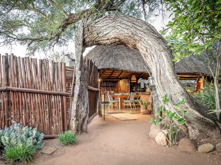Communal areas on Kruger Lodge Safari | Africa on Foot
