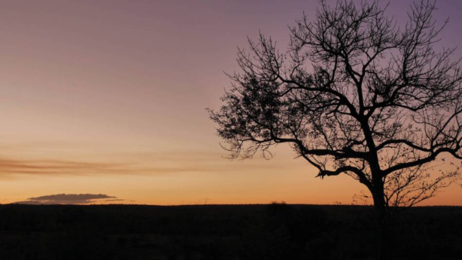 Gorgeous sunset over Southern Africa | Natalie Tambolash