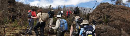 kilimanjaro trek australia