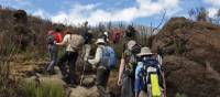 Ascending Mt Kilimanjaro | Peter Brooke