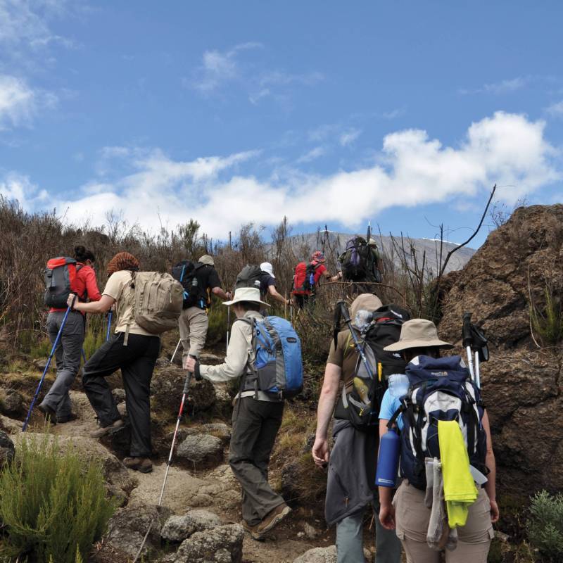 Ascending Mt Kilimanjaro | Peter Brooke