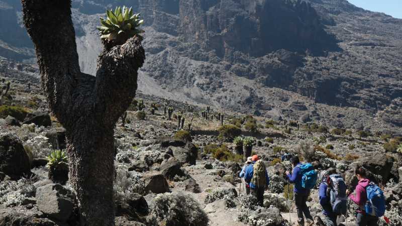 Exploring around Barranco Wall | Kyle Super