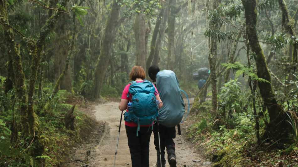 Trekking the lower forest en-route to Kilimanjaro | Kyle Super