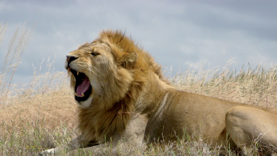 Time to wake up | Ian Williams