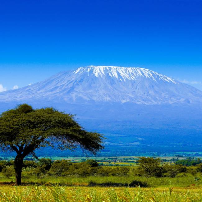 Trekking to Mt Kilimanjaro is a challenging yet rewarding feat