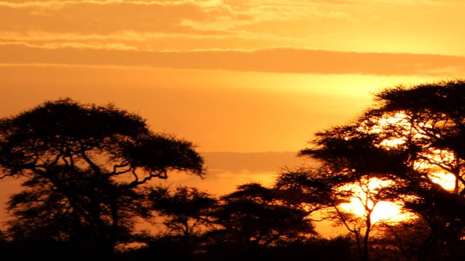 Sunrise over the Serengeti | Ian Williams