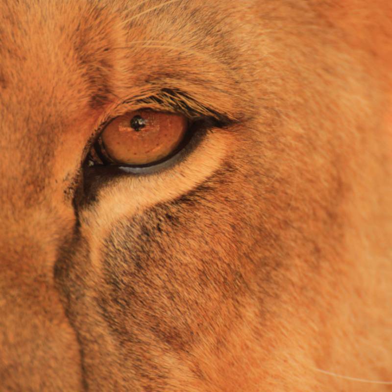 Up close and personal | Charles Duncombe