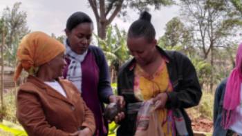 Wamboma Coop Tanzania,Equality in Tourism Wamboma Coop Tanzania supporting female farmers to access the tourism supply chain