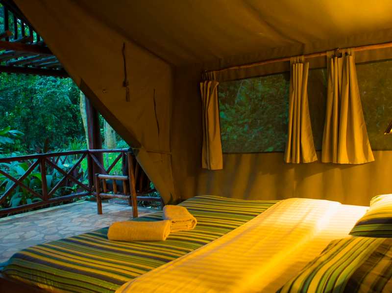 Kibale Forest Camp
Tented accommodation in a forest setting