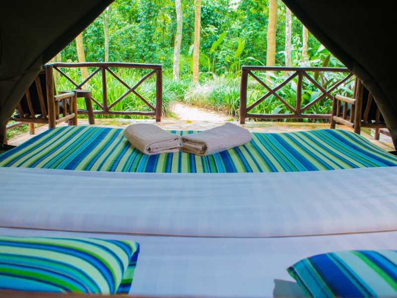 Kibale Forest Camp
Tented accommodation in a forest setting