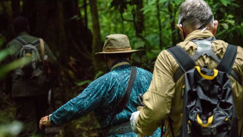 Trek through Bwindi’s lush rainforest in search of hidden wildlife