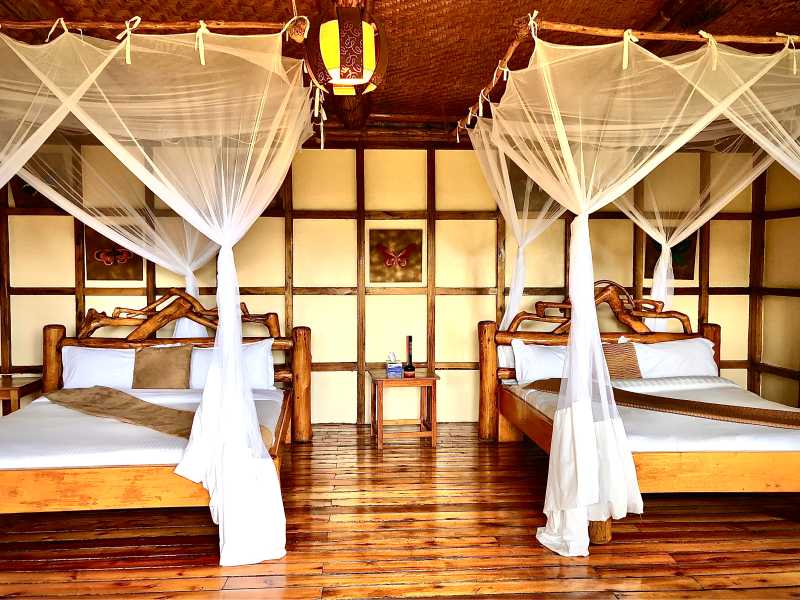 Bwindi: Haven Lodge Buhoma (or similar)
Set on the edge of Bwindi Impenetrable Forest, this lodge offers a comfortable stay in a forested setting. You stay in private rooms, creating a calm base before and after your time in the park. Its location allows for easy access on trekking days.