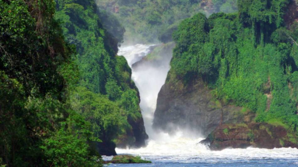 The lush vegetation and powerful waters of Murchison Falls