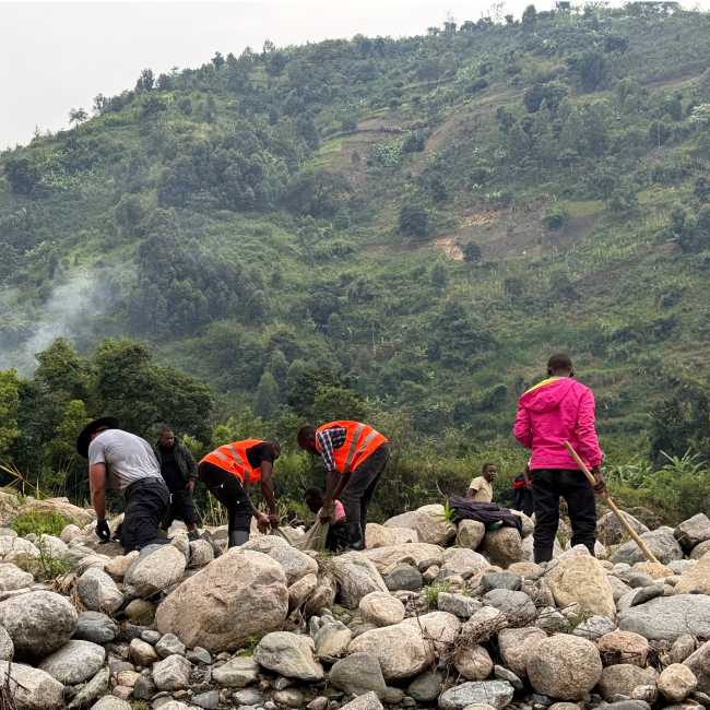 Reforestation of the Nyamwamba Riverbanks