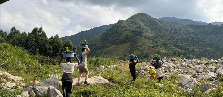 Reforestation of the Nyamwamba Riverbanks | Rwenzori Trekking Services Ltd