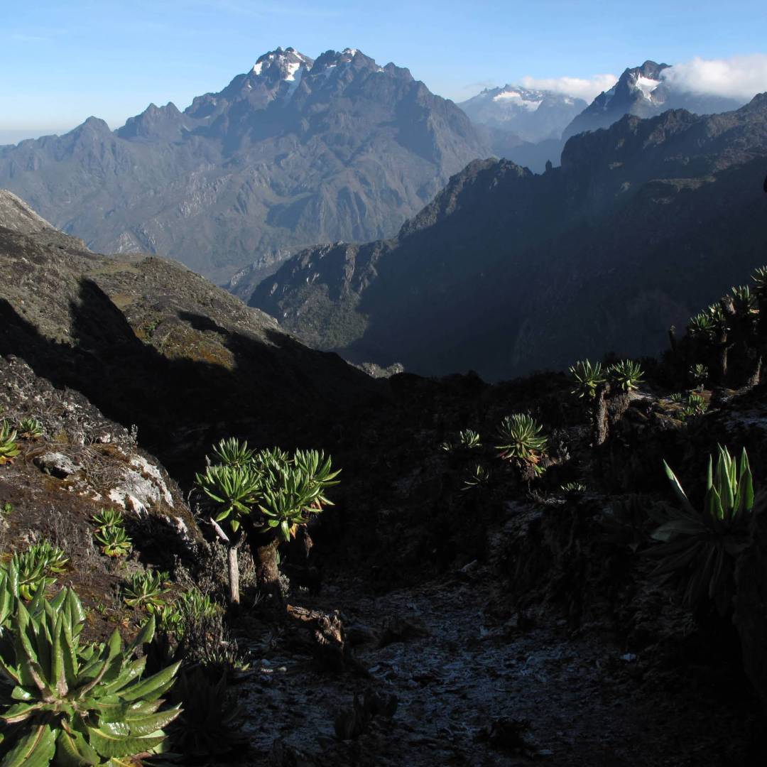 Uganda Rwenzori Mountains Trek | Mountains of the Moon Hike | World ...