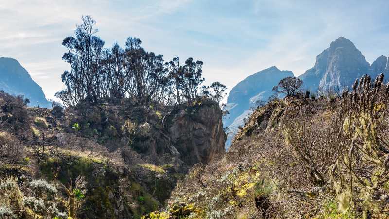 Uganda's wild and rugged Rwenzori mountain range