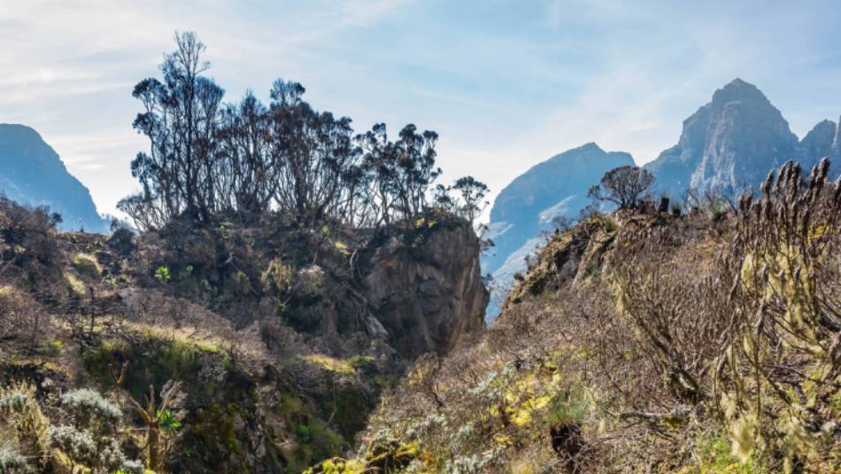 Uganda's wild and rugged Ruwenzori range