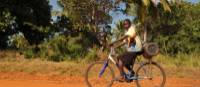 Local boy cycling along a rural road | Bruce Taylor