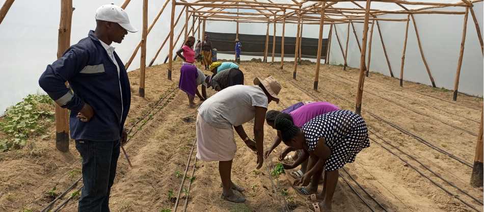 Wadzanai Community Development Trust | Wadzanai Community Development Trust