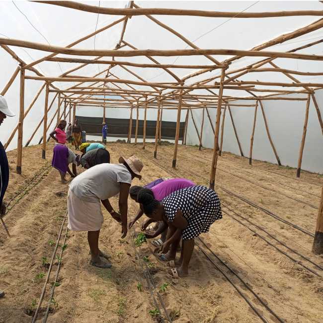 Wadzanai Community Development Trust | Wadzanai Community Development Trust