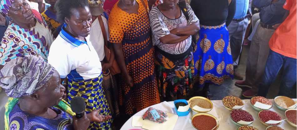 Wadzanai Community Development Trust Zimbabwe | Wadzanai Community Development Trust