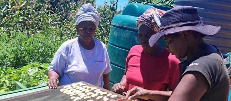 Training Women for Local Food Enterprise in Zimbabwe | Wadzanai Community Development Trust