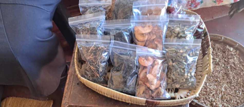 Training Women for Local Food Enterprise in Zimbabwe | Wadzanai Community Development Trust