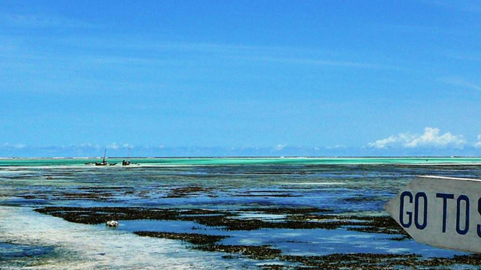 The crystal clear waters of Zanzibar | Gesine Cheung