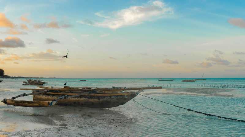 Zanzibar on the Indian Ocean | Zanzibar