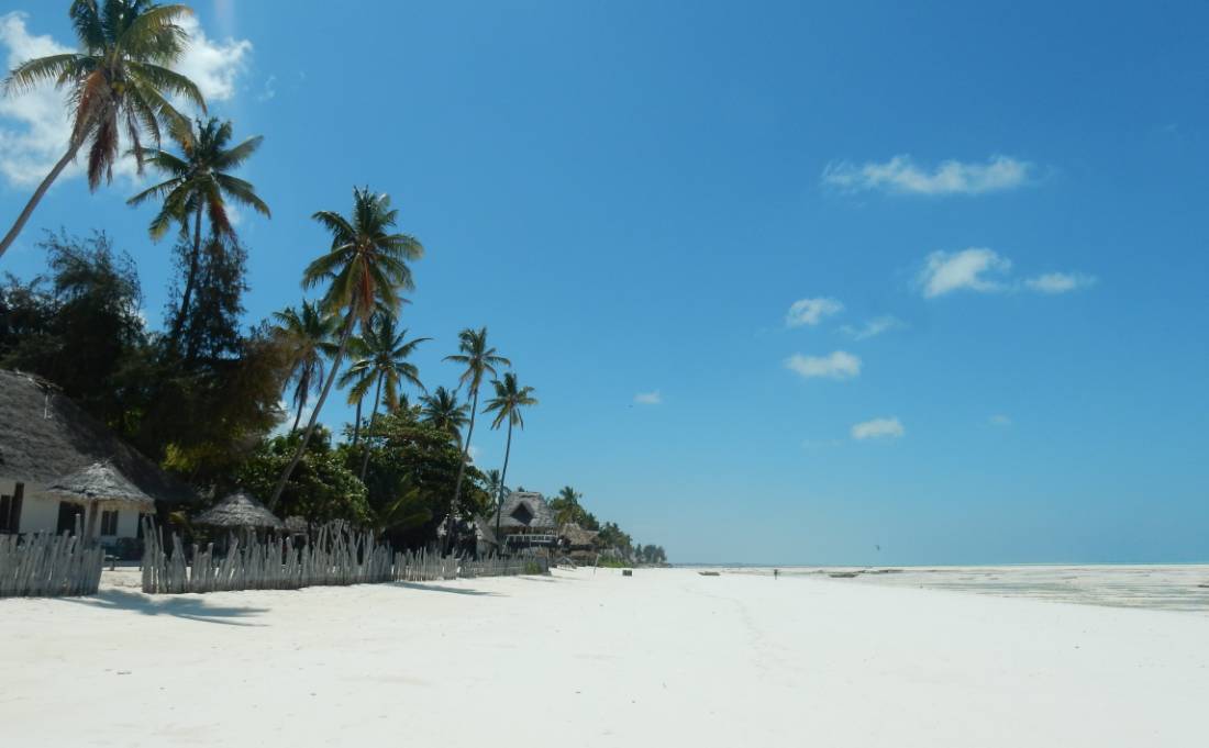 Pristine beaches of Zanzibar