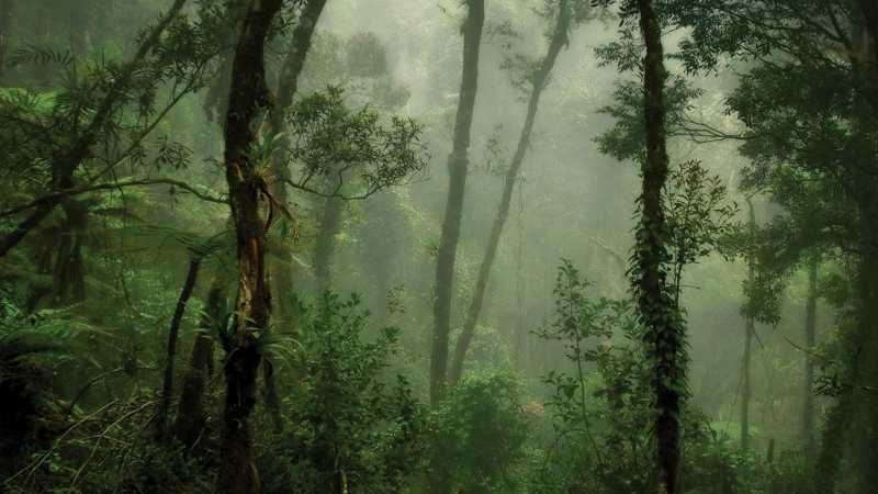 Bespoke Adventure in Borneo | Private Group Tours | World Expeditions
