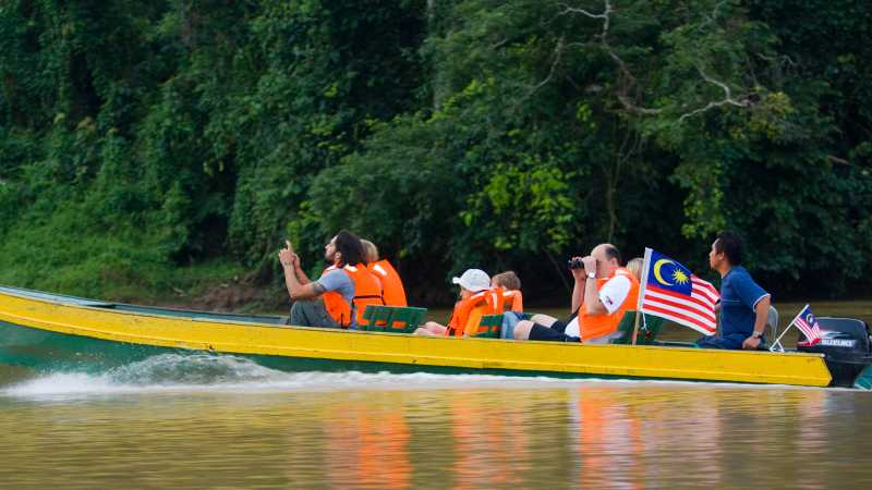 Kinabatangan River, Borneo