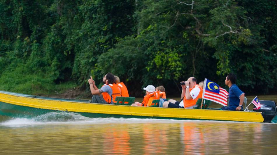 Kinabatangan River, Borneo