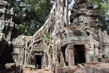Vibrant views while trekking Ta Prohm -  Photo: Alana Johnstone