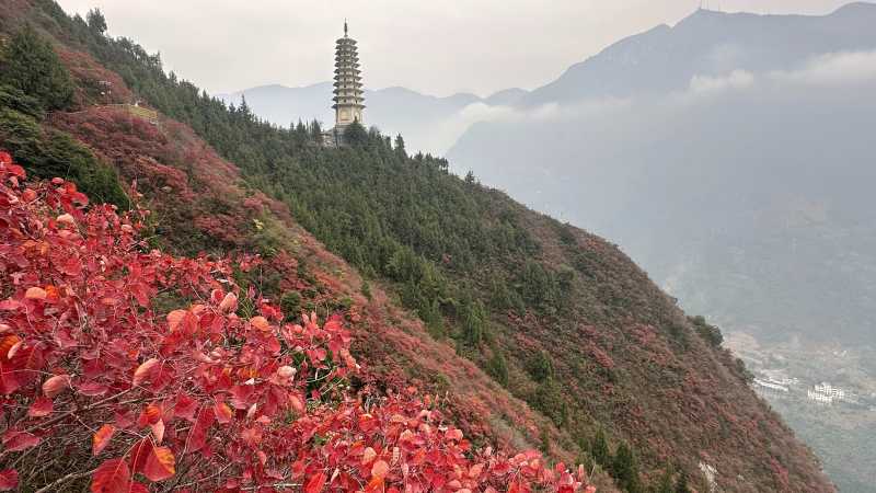 Hiking the Dragon Ridge with fiery Autumn leaves, Three Gorges - Hike China’s Three Gorges, China