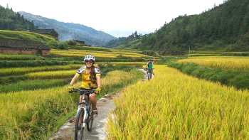 Riding between the rice paddies to Zhengchong