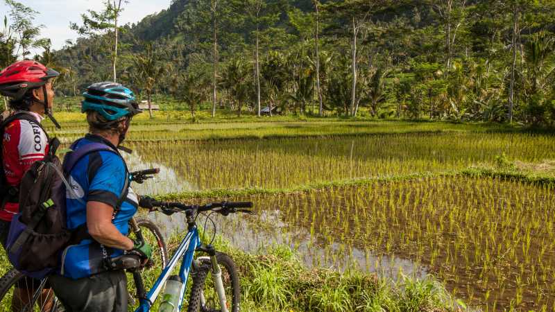 Bali by Bike | Colin Monteath - Hedgehog House