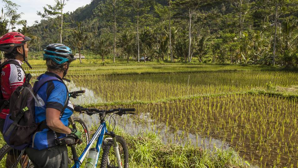 Bali by Bike | Colin Monteath - Hedgehog House