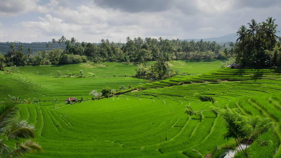 Bali, Indonesia,