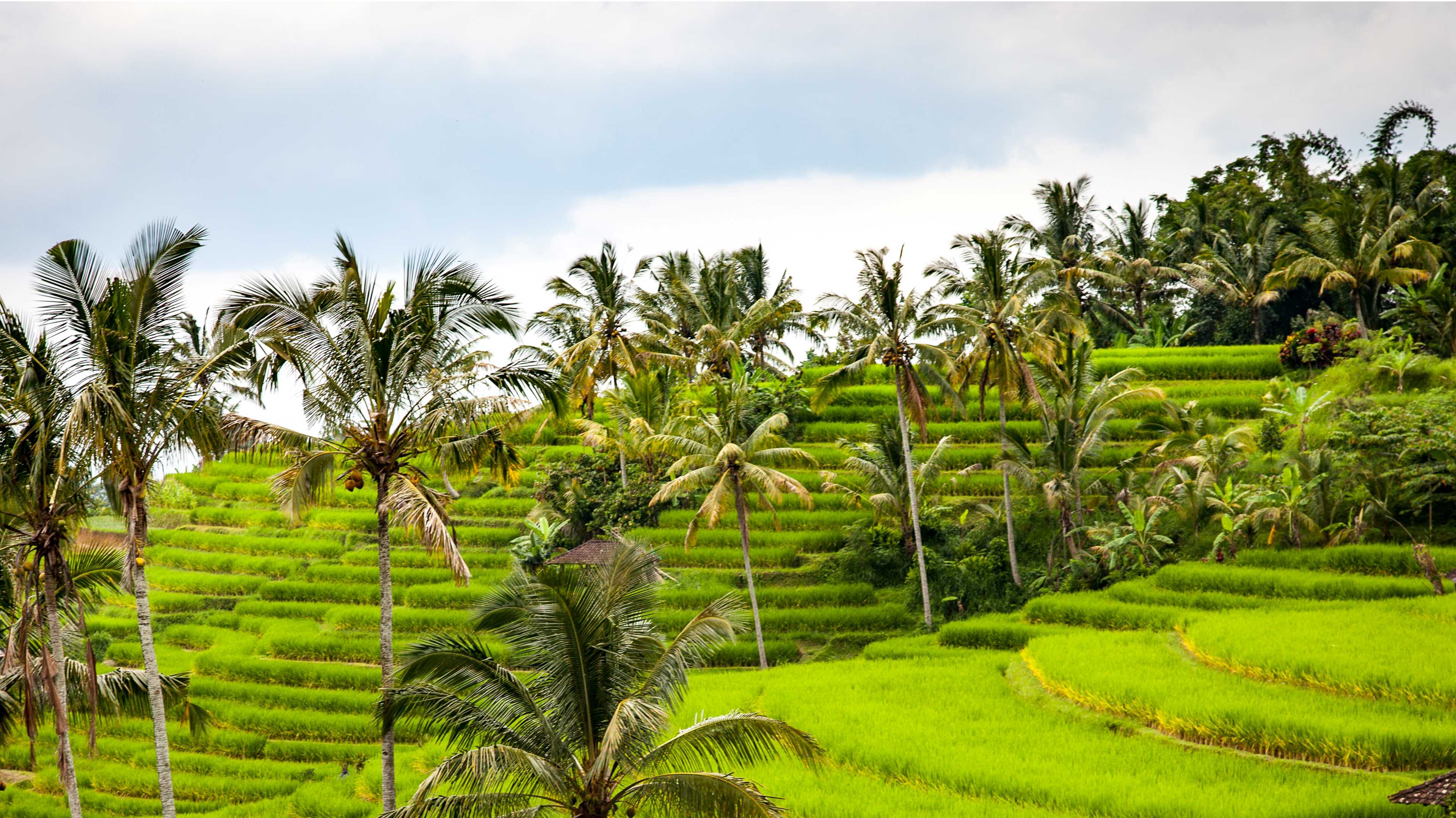 East Java Volcanoes Adventure Tour & Trek | Indonesia Adventures ...