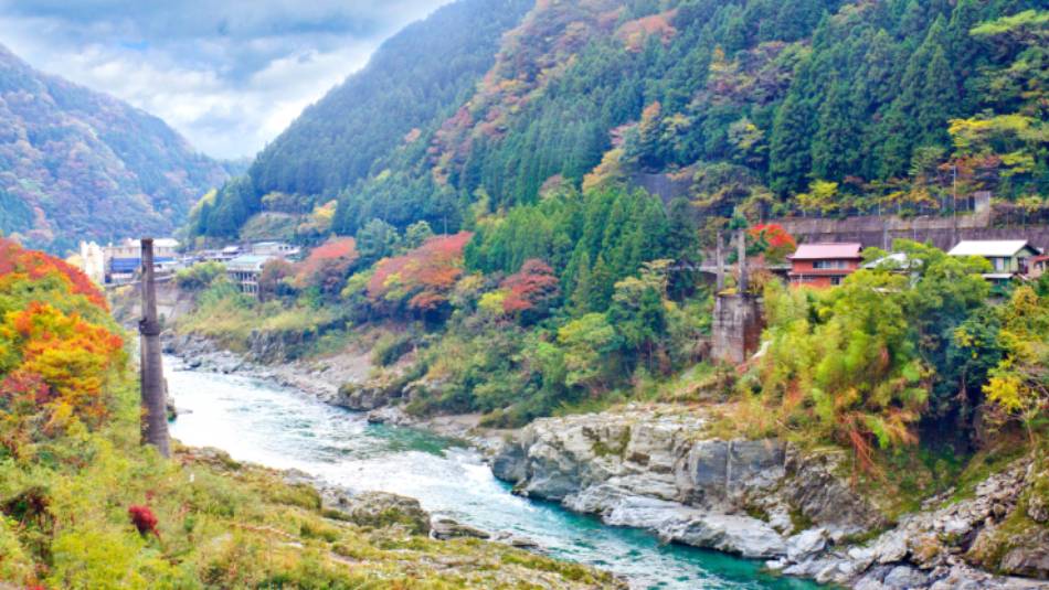 Autumn colours on Shikoku Island