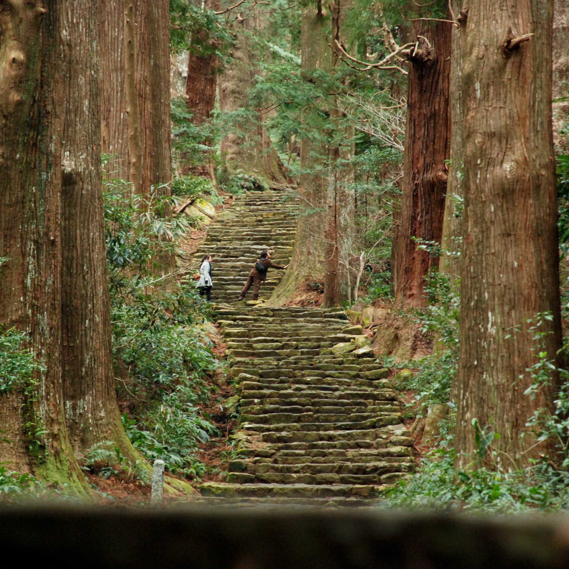 Kumano Kodo Self-Guided Hike Japan | Japan Adventure Travel | World  Expeditions