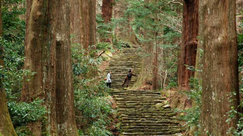 Hikers on the cobble lined Nakahechi route