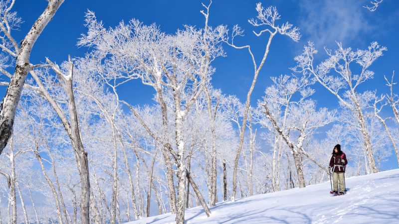 Exploring Lake Akan, Hokkaido - Hokkaido Winter Explorer, Japan