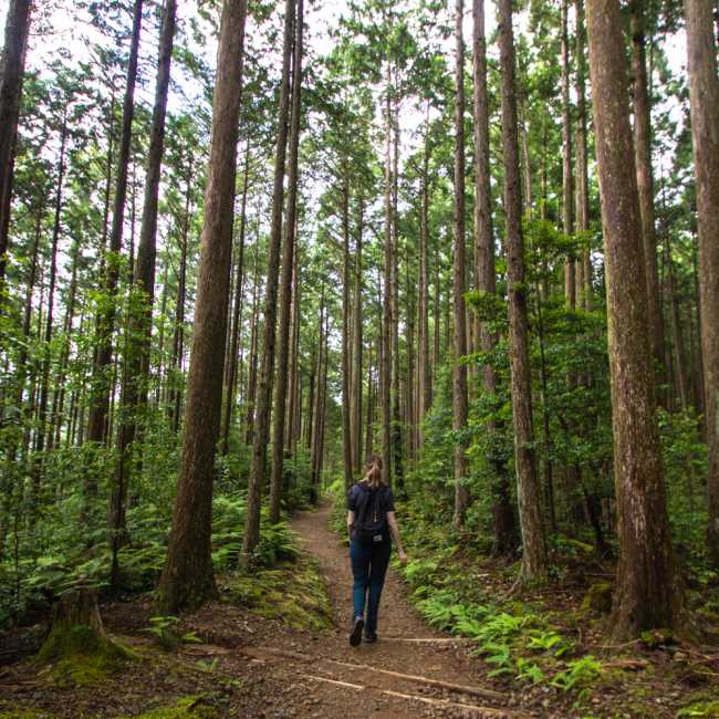 Hiker on the Kumano Kodo