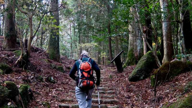 Hike along the peaceful Odoriko Trail | Rupert Parker