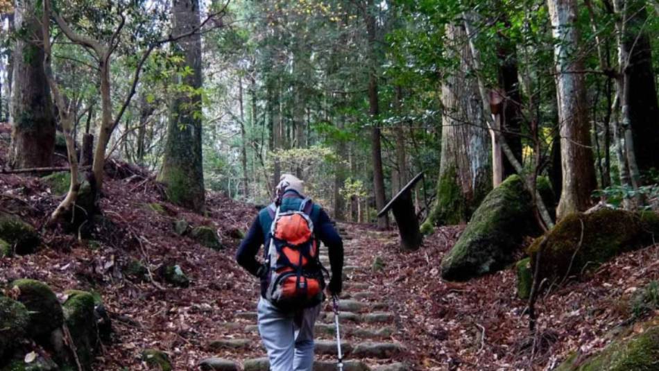 Hike along the peaceful Odoriko Trail | Rupert Parker